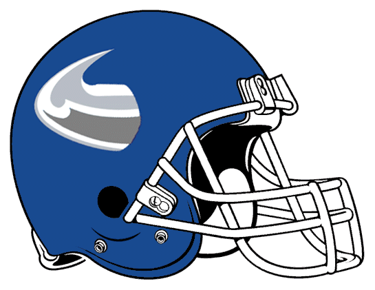 Buffalo Bulls 2001-2005 Helmet Logo t shirts DIY iron ons